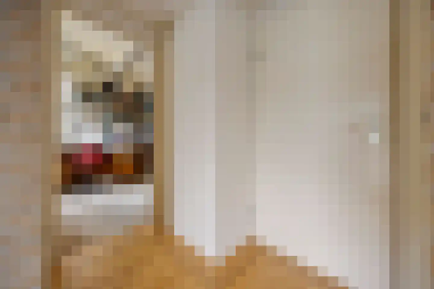 Eugène Lückerstraat 10 Nijmegen thumbnail 24