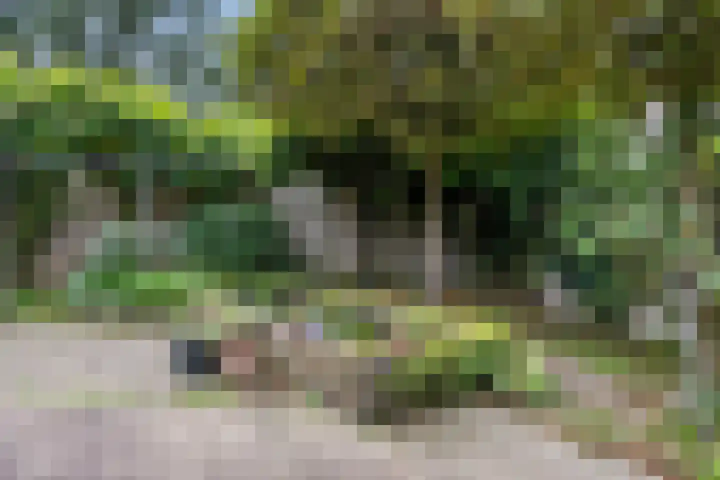 Eugène Lückerstraat 10 Nijmegen thumbnail 9
