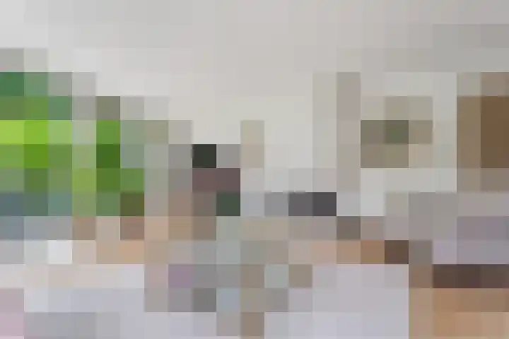 Eugène Lückerstraat 6 Nijmegen thumbnail 11
