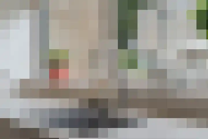 Eugène Lückerstraat 6 Nijmegen thumbnail 18