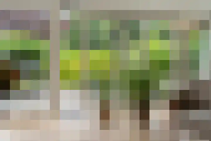 Eugène Lückerstraat 6 Nijmegen thumbnail 48