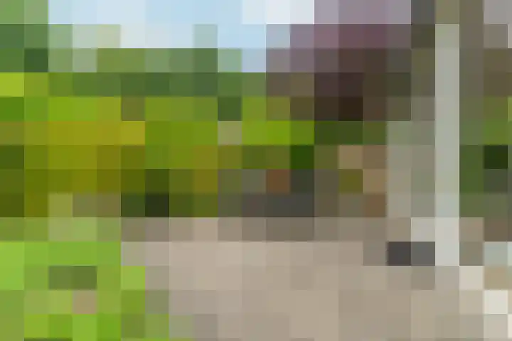 Eugène Lückerstraat 6 Nijmegen thumbnail 5