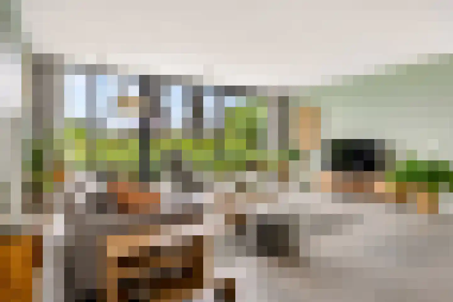 Eugene Odumhof 7 Almere thumbnail 15