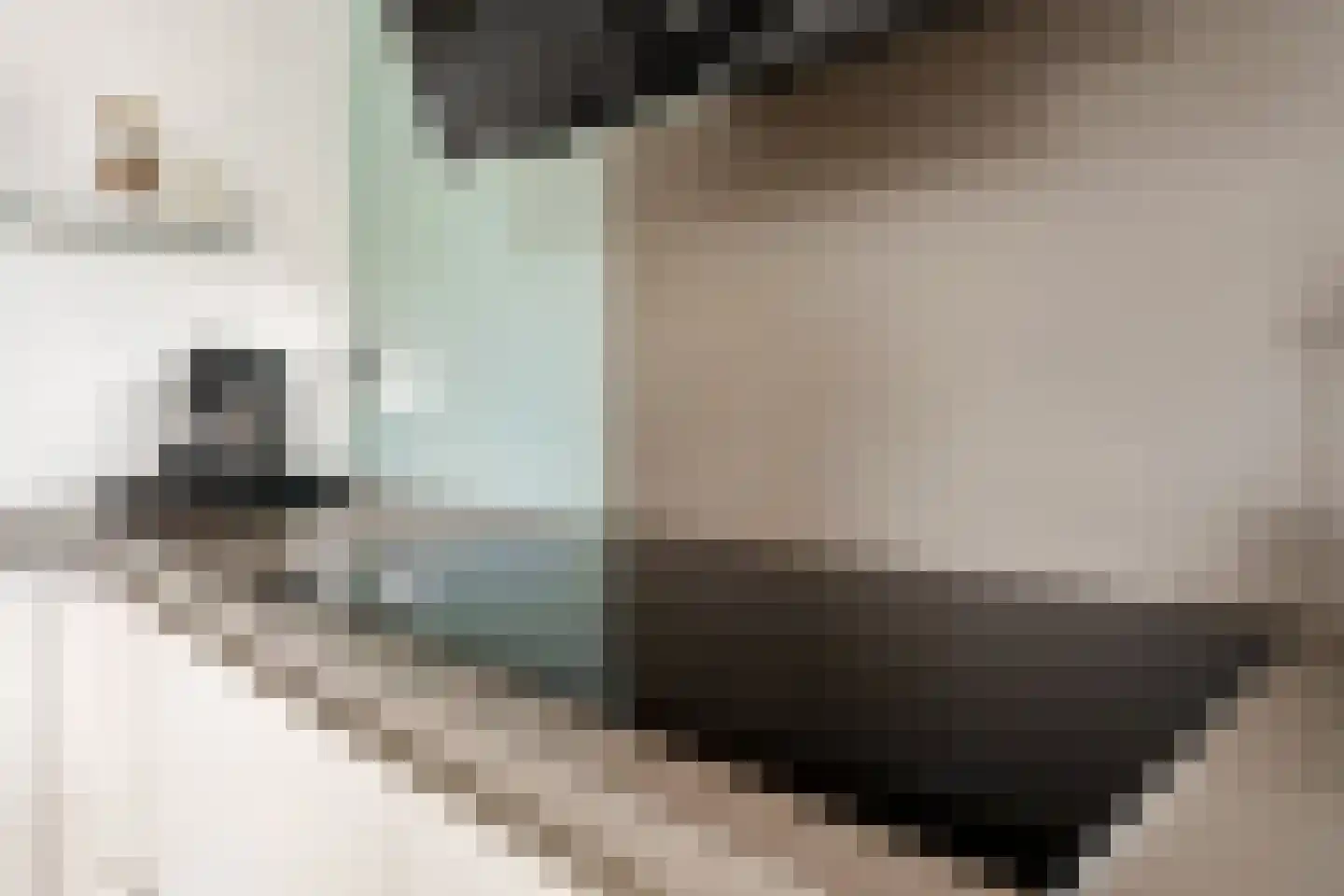 Eugene Odumhof 7 Almere thumbnail 34