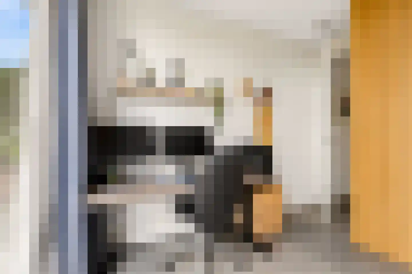 Eugene Odumhof 7 Almere thumbnail 39