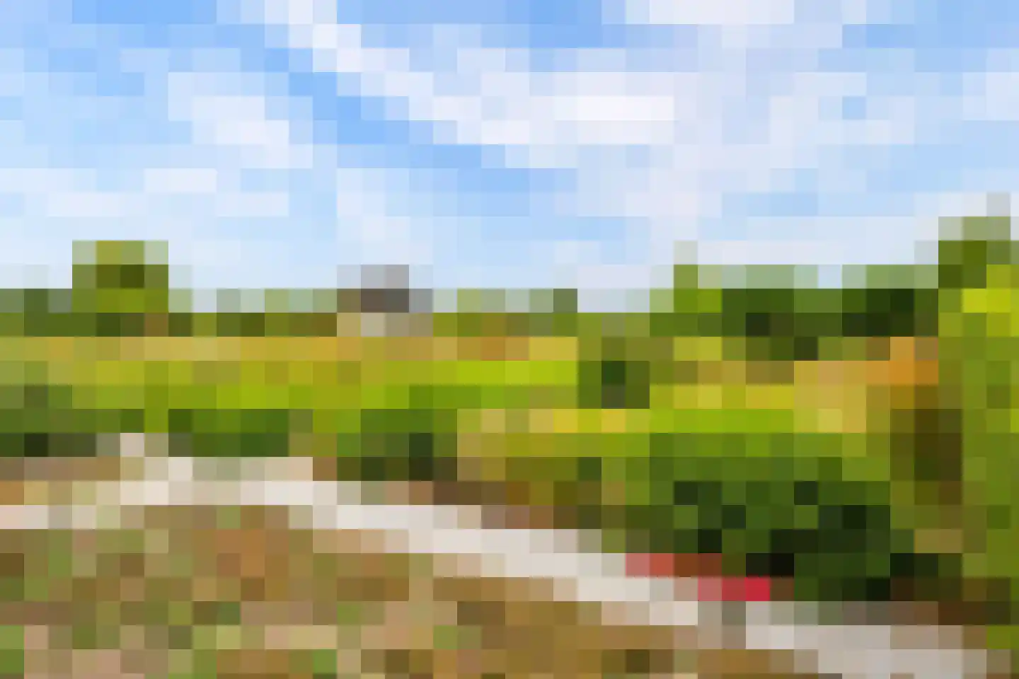 Eugene Odumhof 7 Almere thumbnail 5