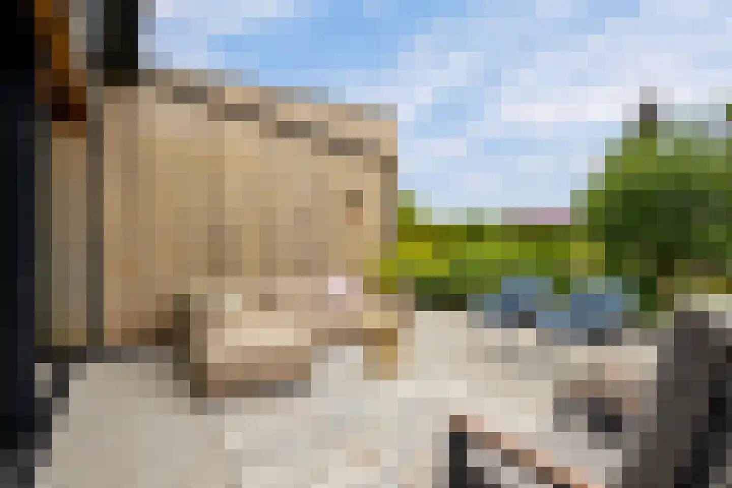 Eugene Odumhof 7 Almere thumbnail 53