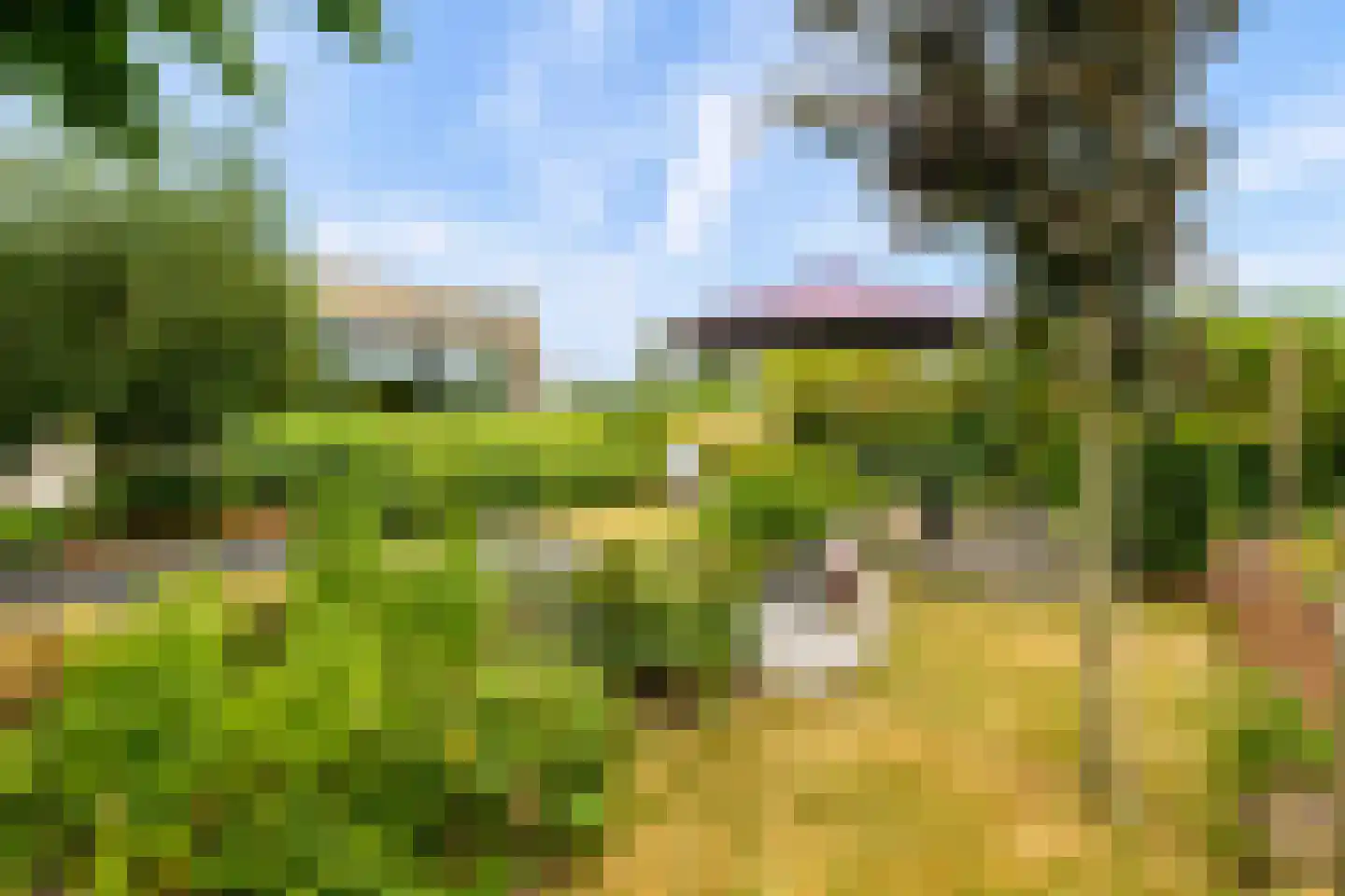 Eugene Odumhof 7 Almere thumbnail 62