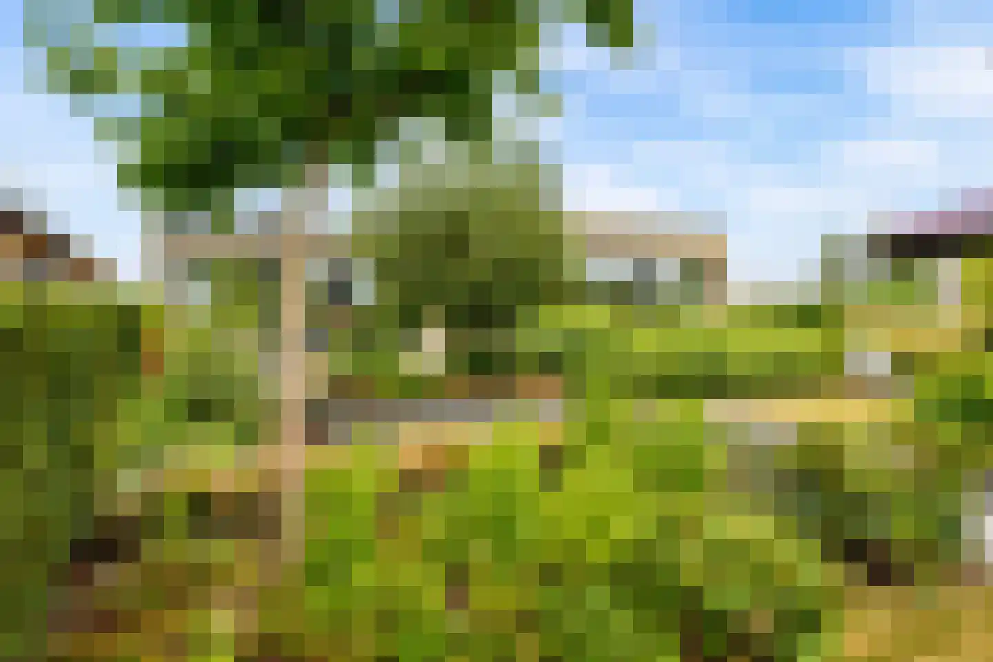 Eugene Odumhof 7 Almere thumbnail 63