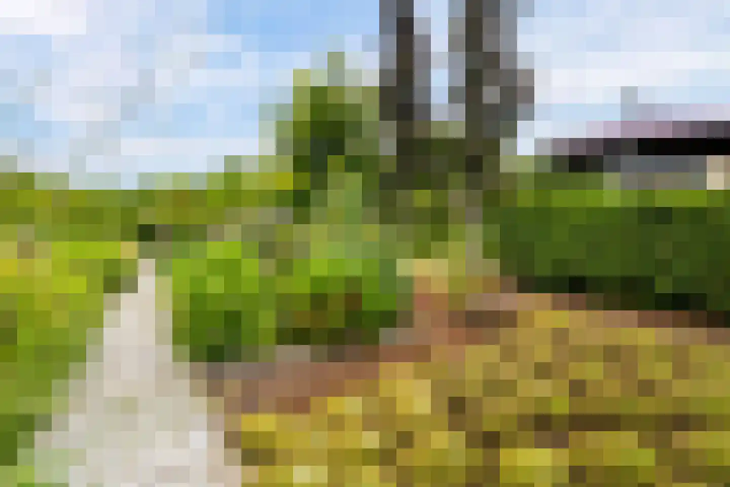 Eugene Odumhof 7 Almere thumbnail 66