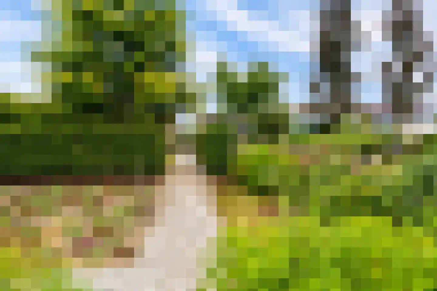 Eugene Odumhof 7 Almere thumbnail 67