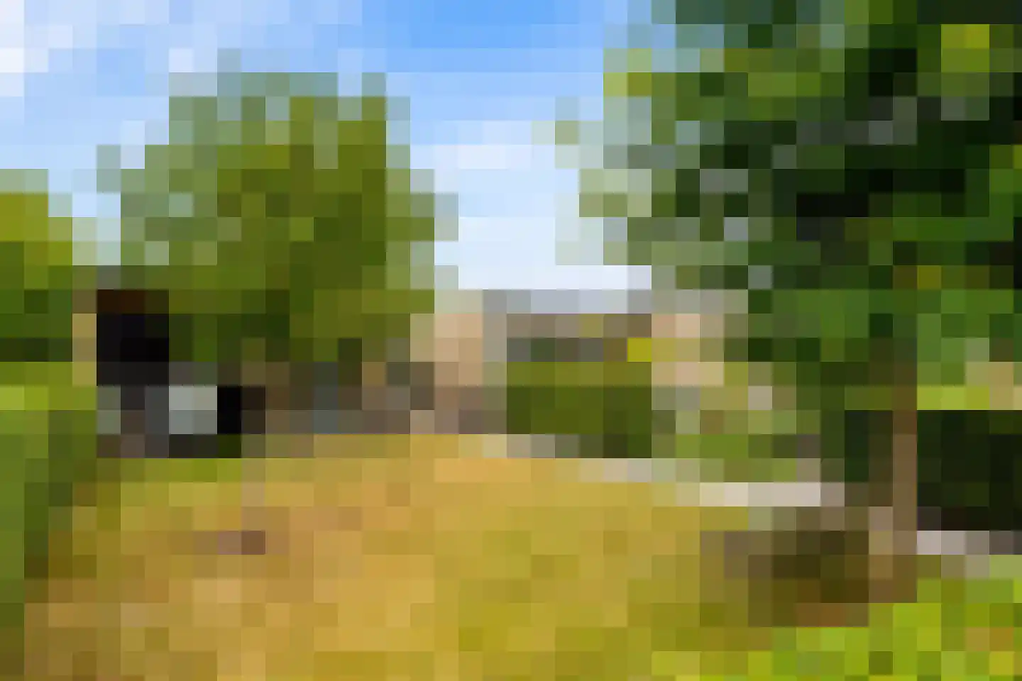 Eugene Odumhof 7 Almere thumbnail 68