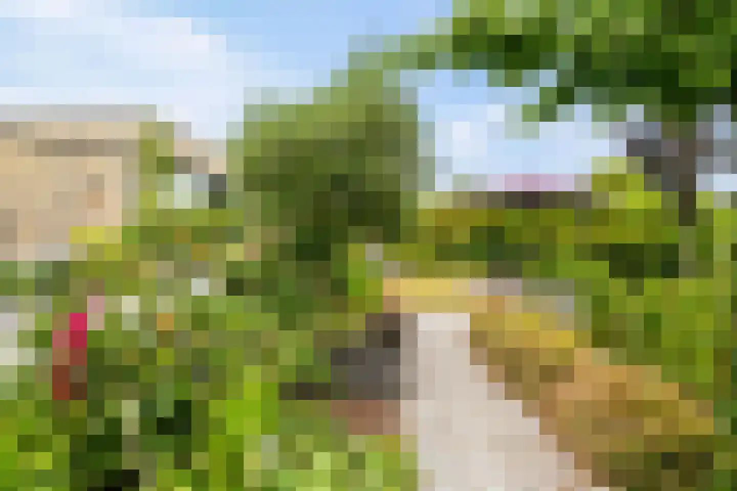 Eugene Odumhof 7 Almere thumbnail 70