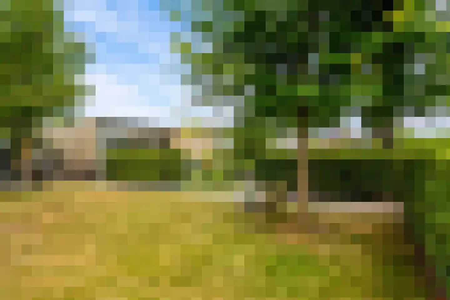 Eugene Odumhof 7 Almere thumbnail 71