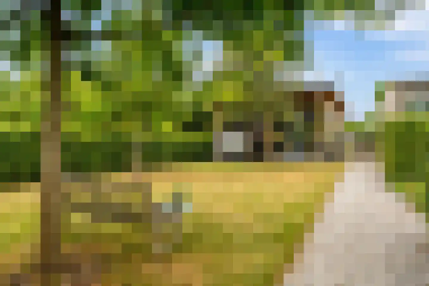 Eugene Odumhof 7 Almere thumbnail 72