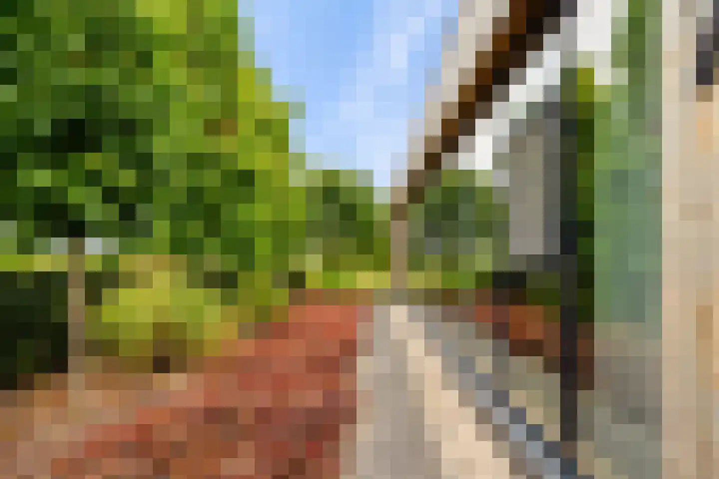 Eugene Odumhof 7 Almere thumbnail 77