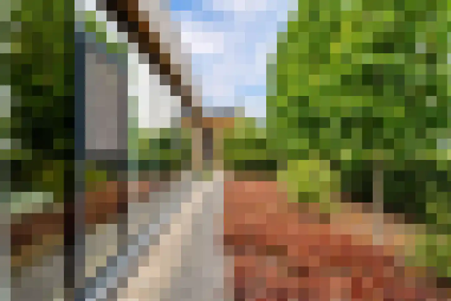 Eugene Odumhof 7 Almere thumbnail 78