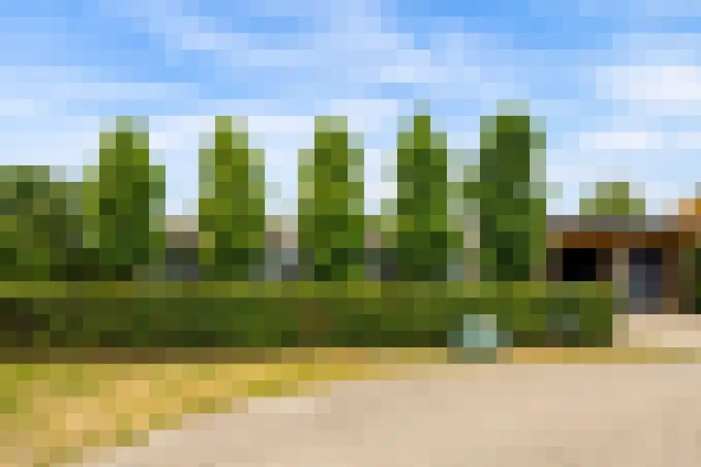 Eugene Odumhof 7 Almere thumbnail 8