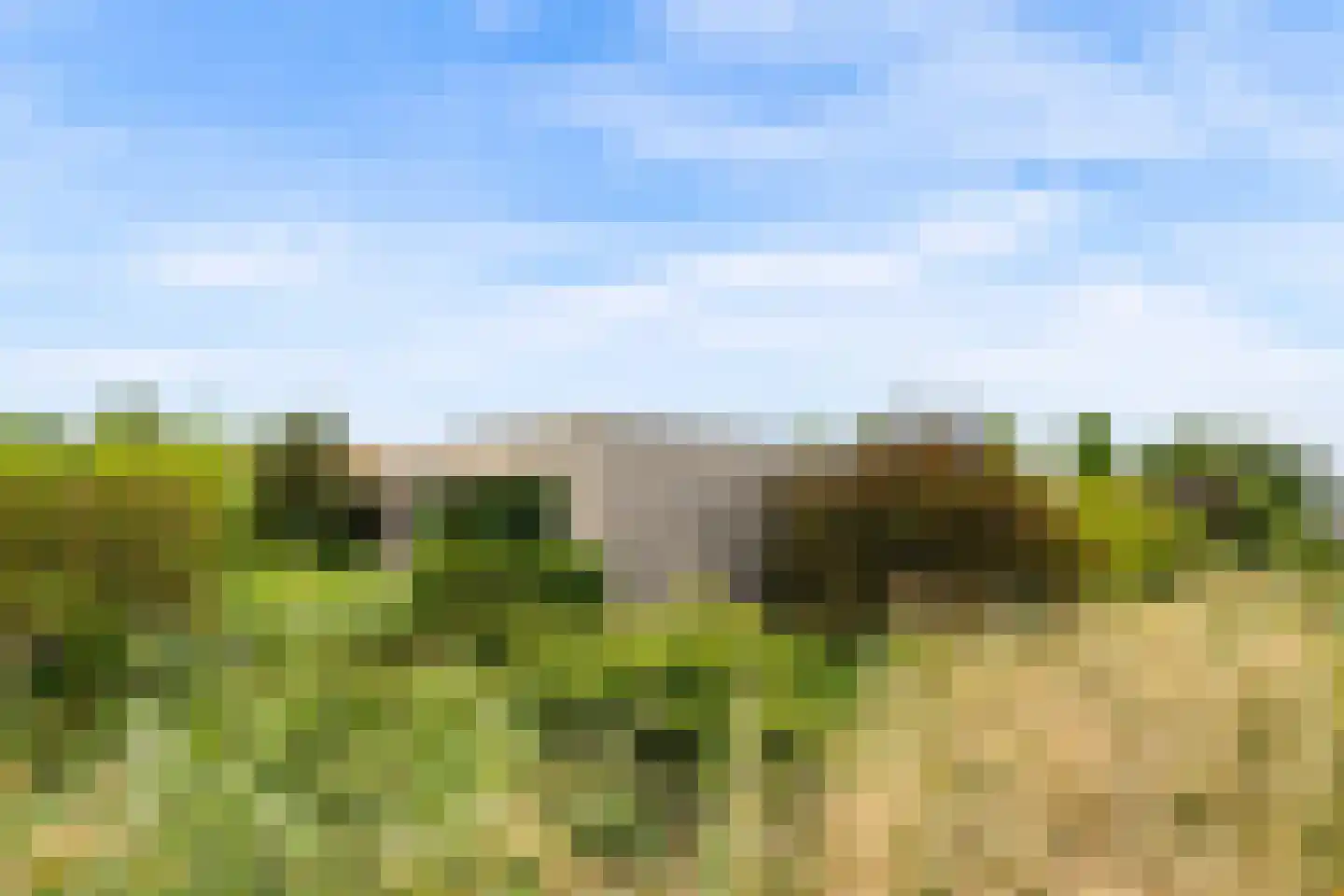 Eugene Odumhof 7 Almere thumbnail 81