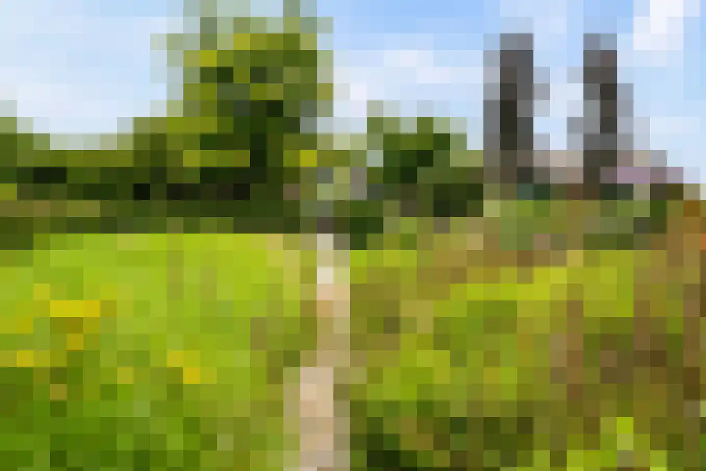 Eugene Odumhof 7 Almere thumbnail 82