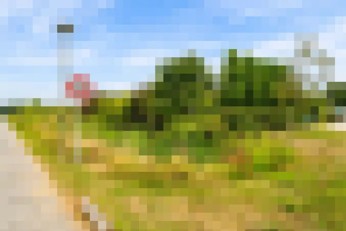 Eugene Odumhof 7 Almere thumbnail 83