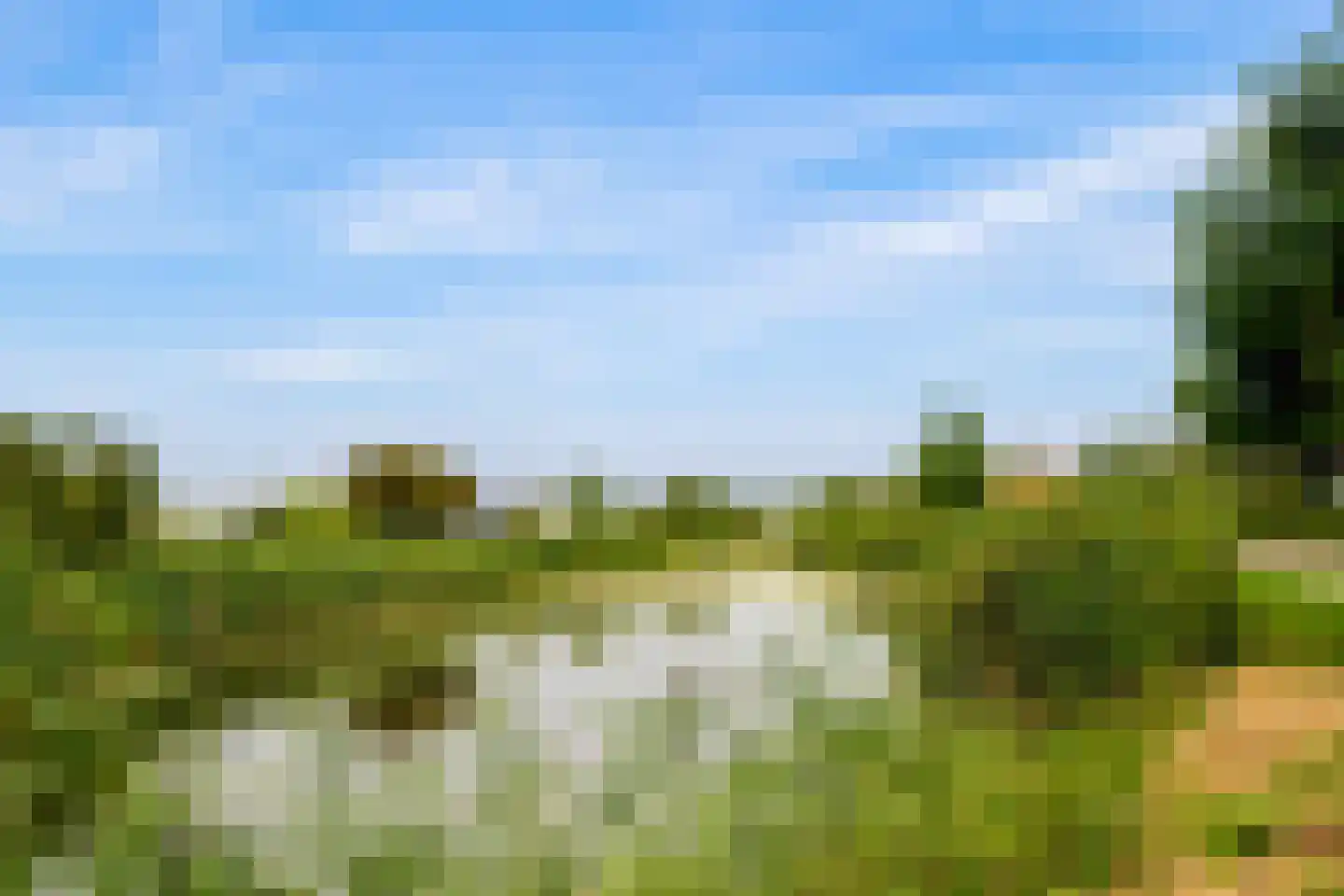 Eugene Odumhof 7 Almere thumbnail 86