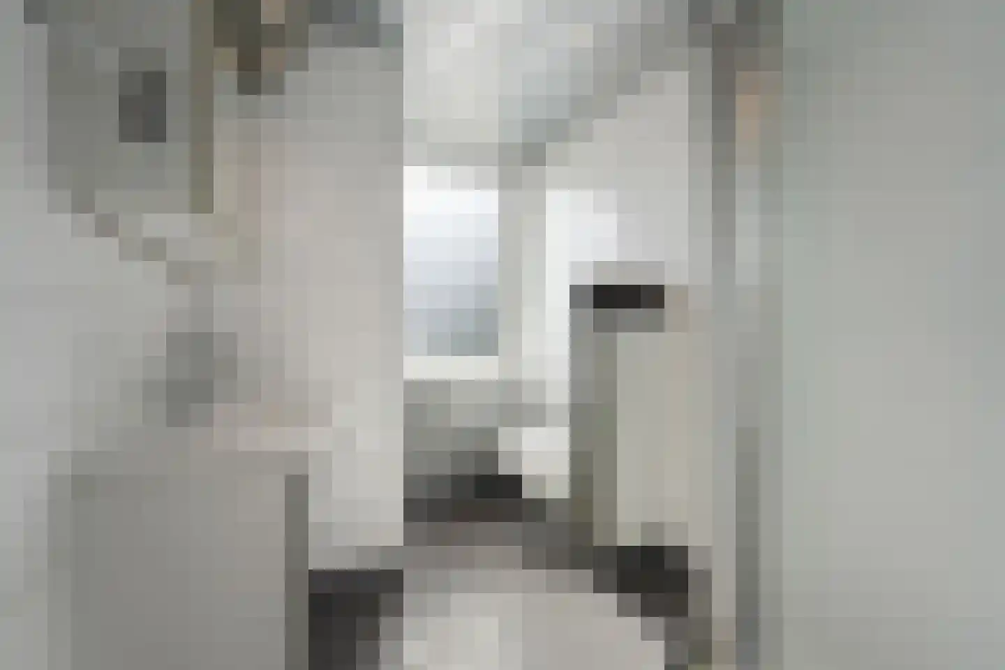 Eugeniahof 13 Holtum thumbnail 36