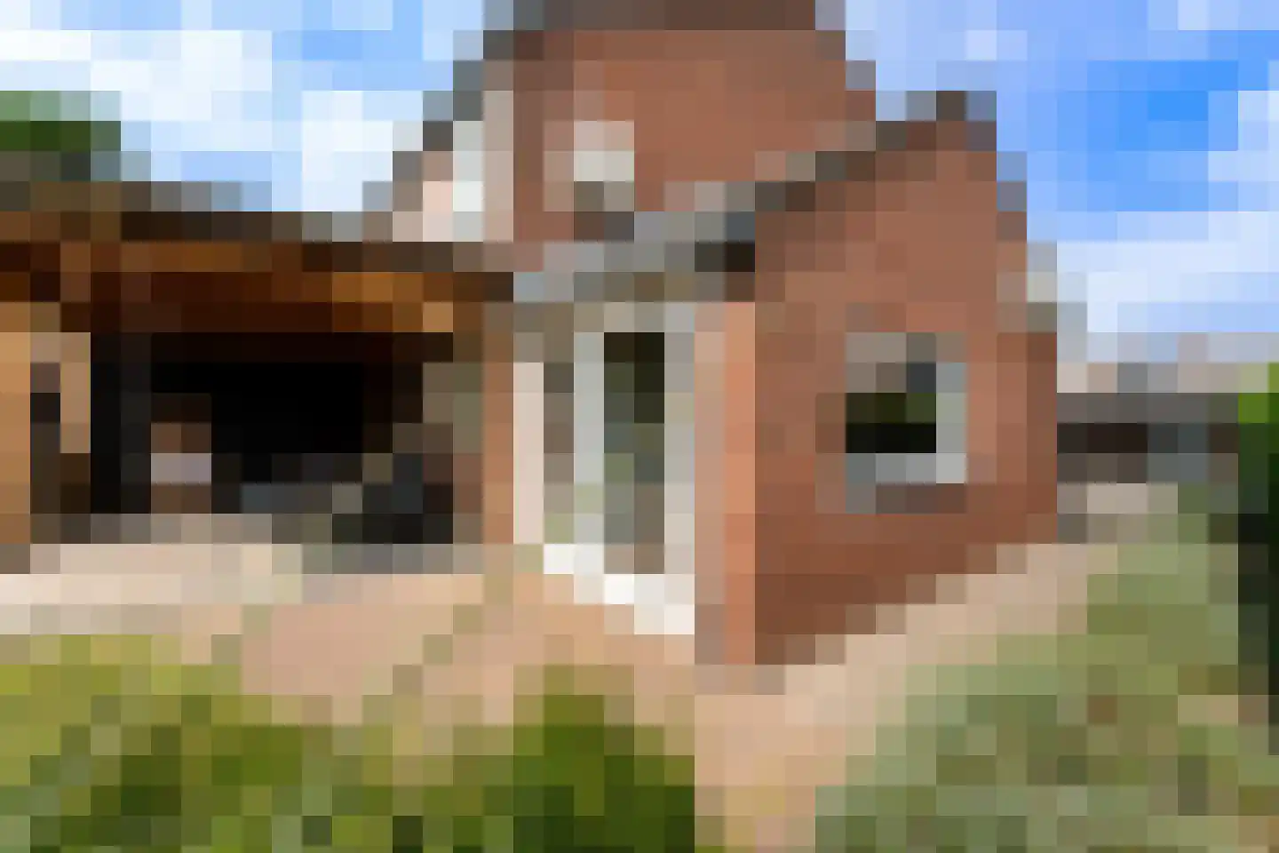 Eugeniahof 13 Holtum thumbnail 42
