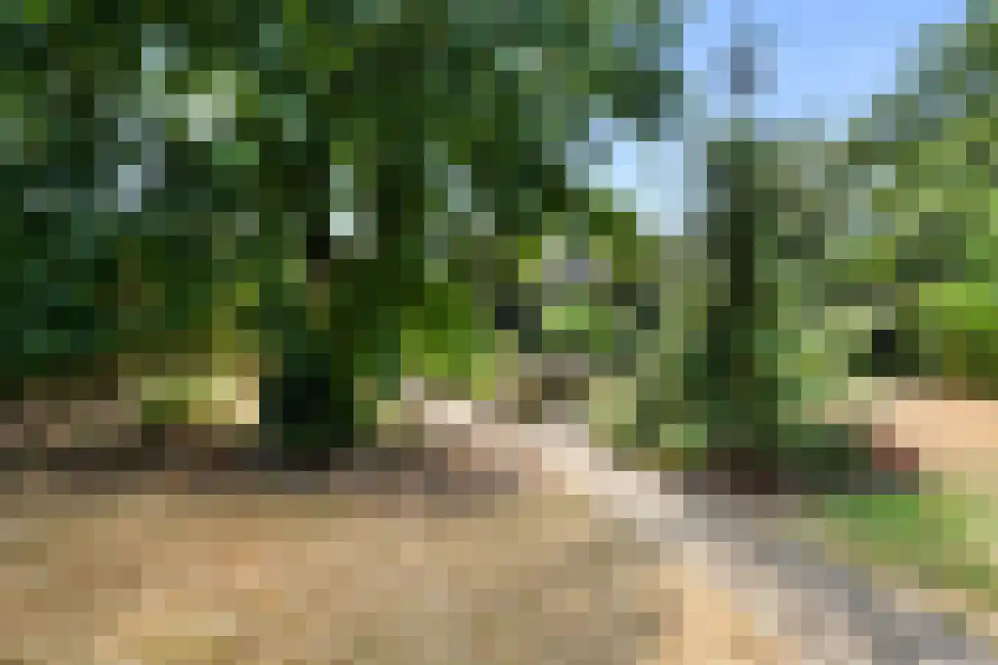 Eugeniahof 13 Holtum thumbnail 44