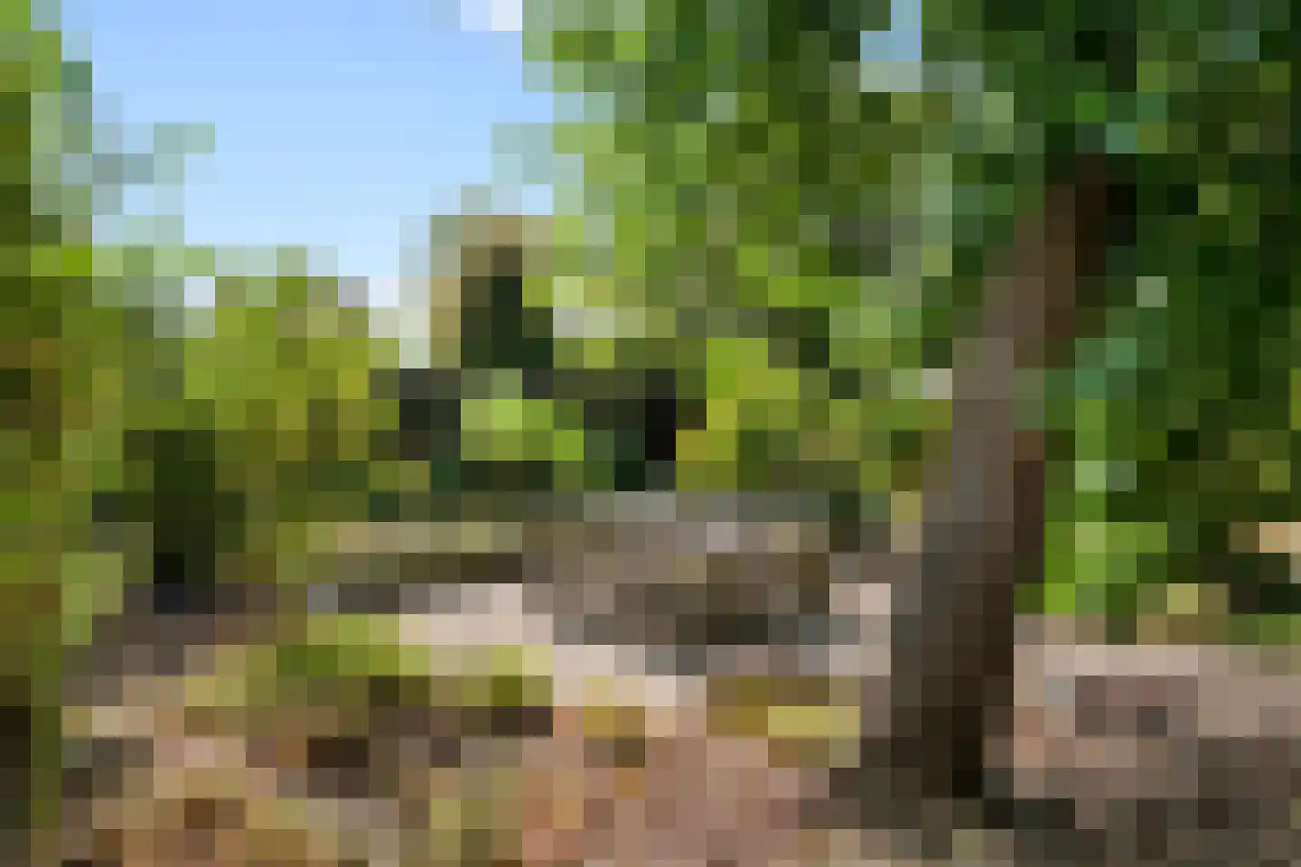 Eugeniahof 13 Holtum thumbnail 45