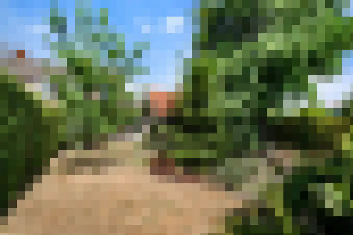 Eugeniahof 13 Holtum thumbnail 46