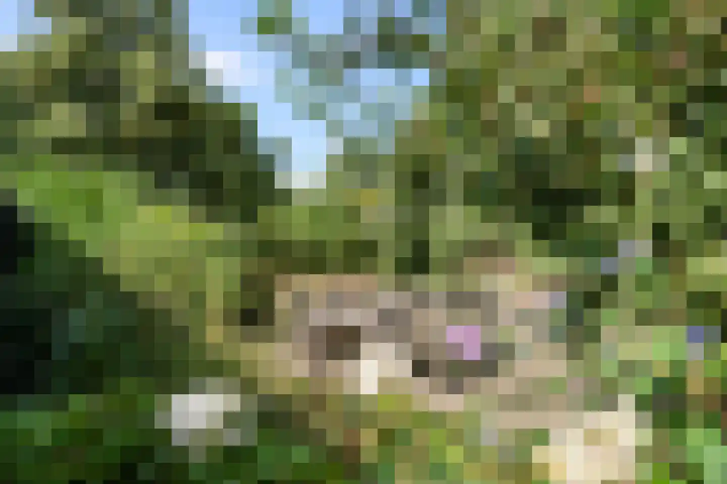 Eugeniahof 13 Holtum thumbnail 47