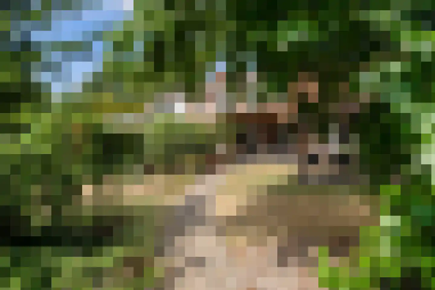 Eugeniahof 13 Holtum thumbnail 48