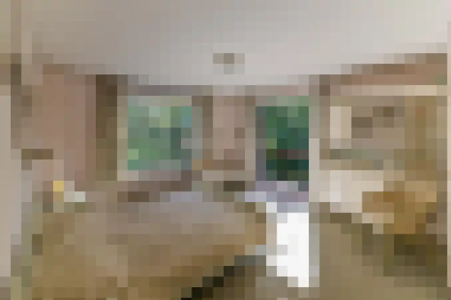 Eugeniasingel 41 Venlo thumbnail 18