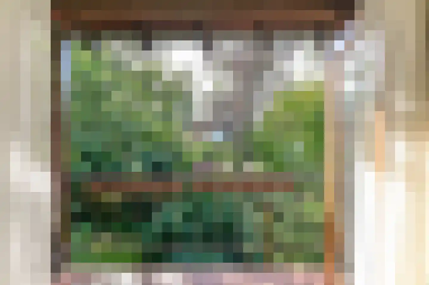Eugeniasingel 41 Venlo thumbnail 19