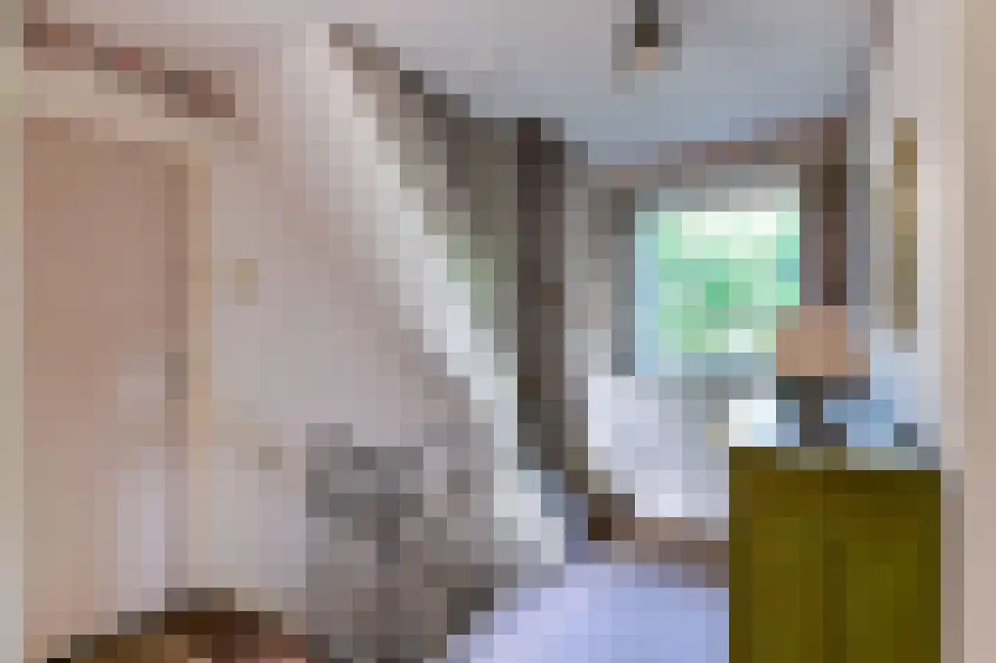 Eugeniasingel 41 Venlo thumbnail 27
