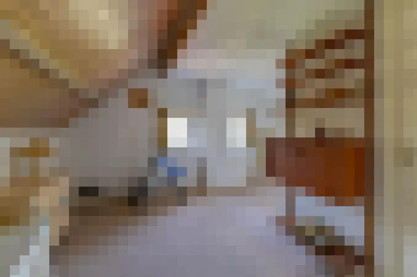 Eugeniasingel 41 Venlo thumbnail 31