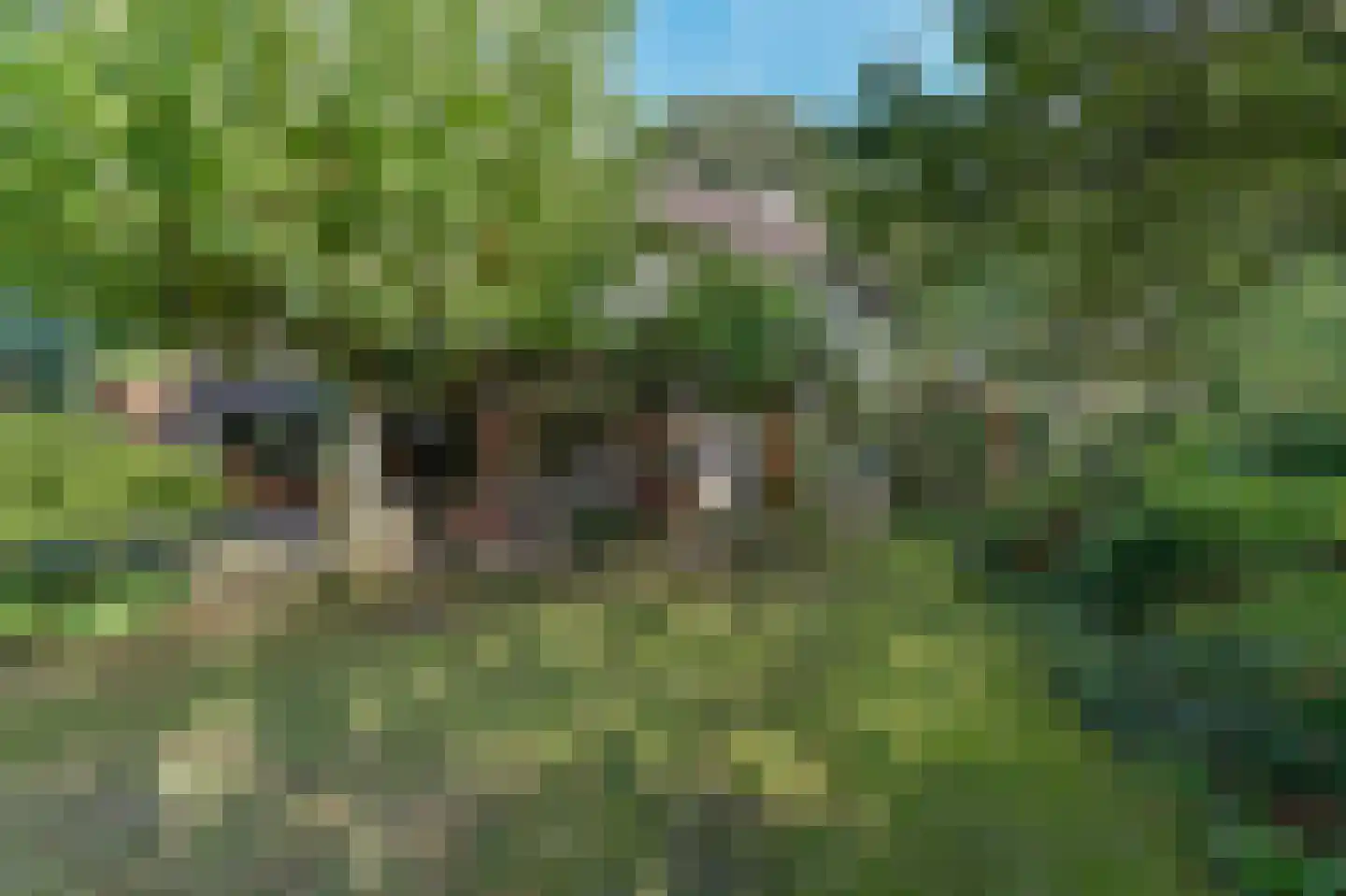 Eugeniasingel 41 Venlo thumbnail 34