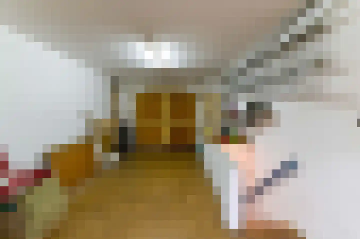 Eugeniasingel 41 Venlo thumbnail 37