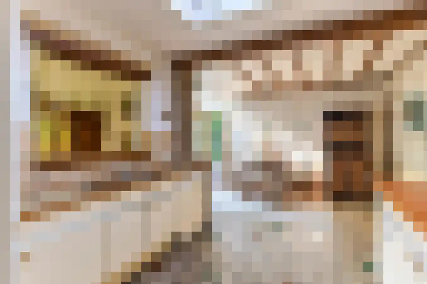 Eugeniasingel 41 Venlo thumbnail 7