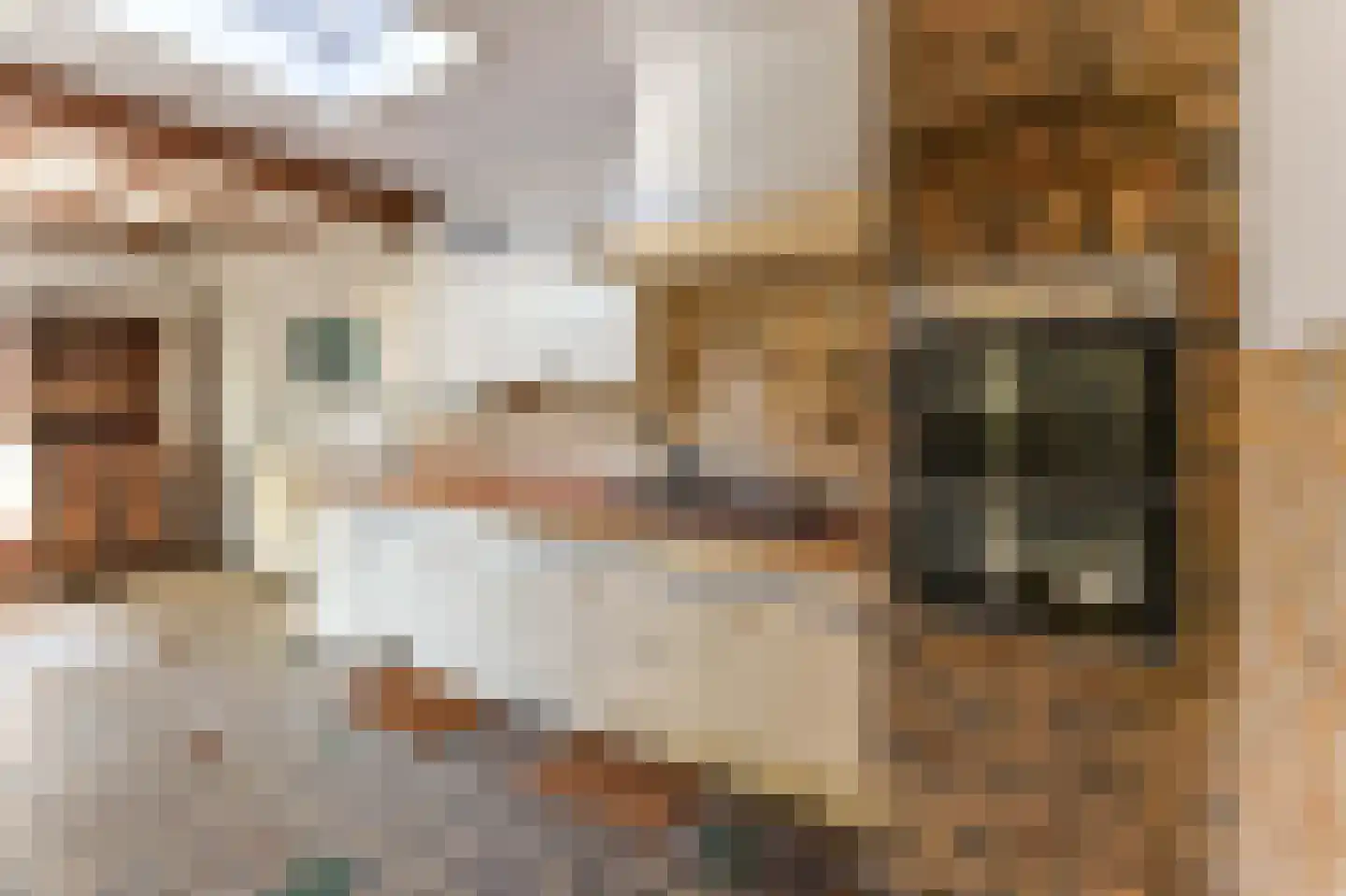 Eugeniasingel 41 Venlo thumbnail 8