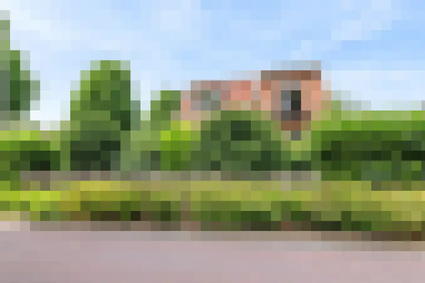 Eugénie Prévinaireweg 1 Nieuw-Vennep thumbnail 10