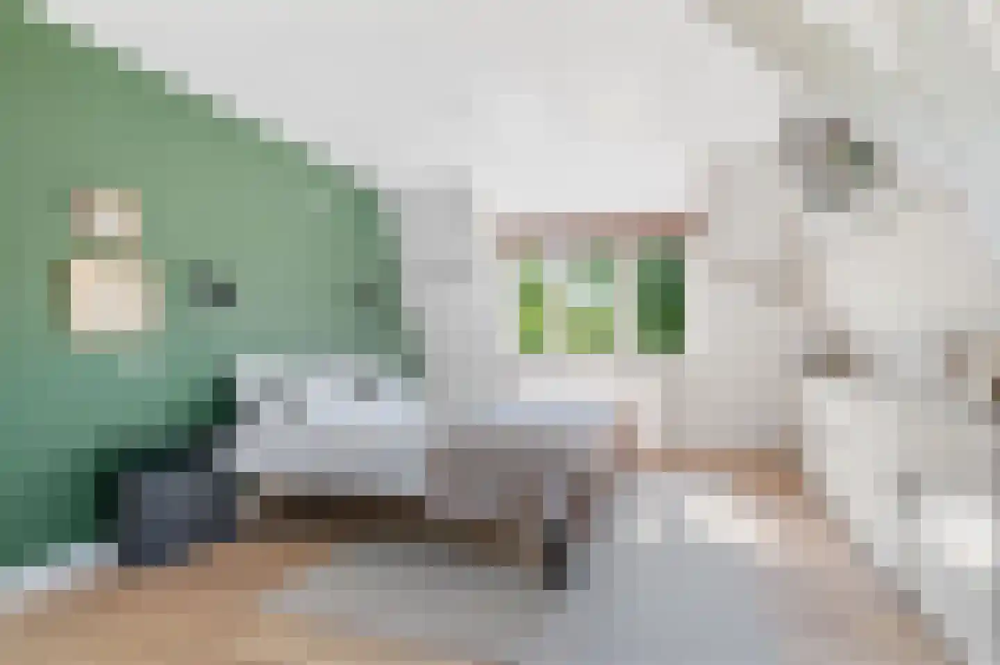 Eugénie Prévinaireweg 1 Nieuw-Vennep thumbnail 33
