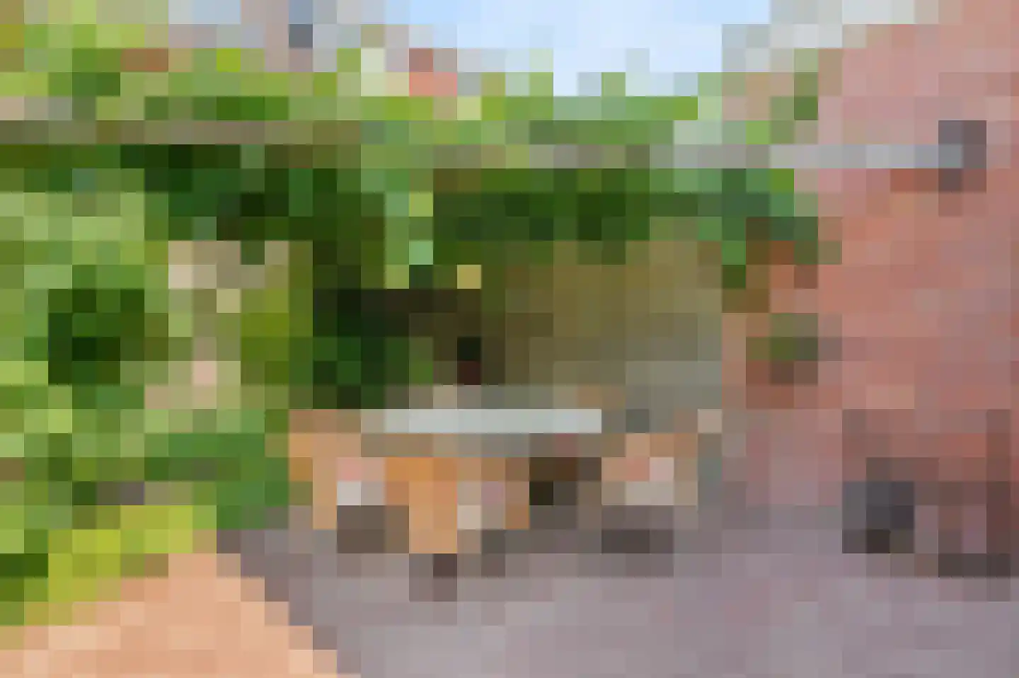 Eugénie Prévinaireweg 1 Nieuw-Vennep thumbnail 51