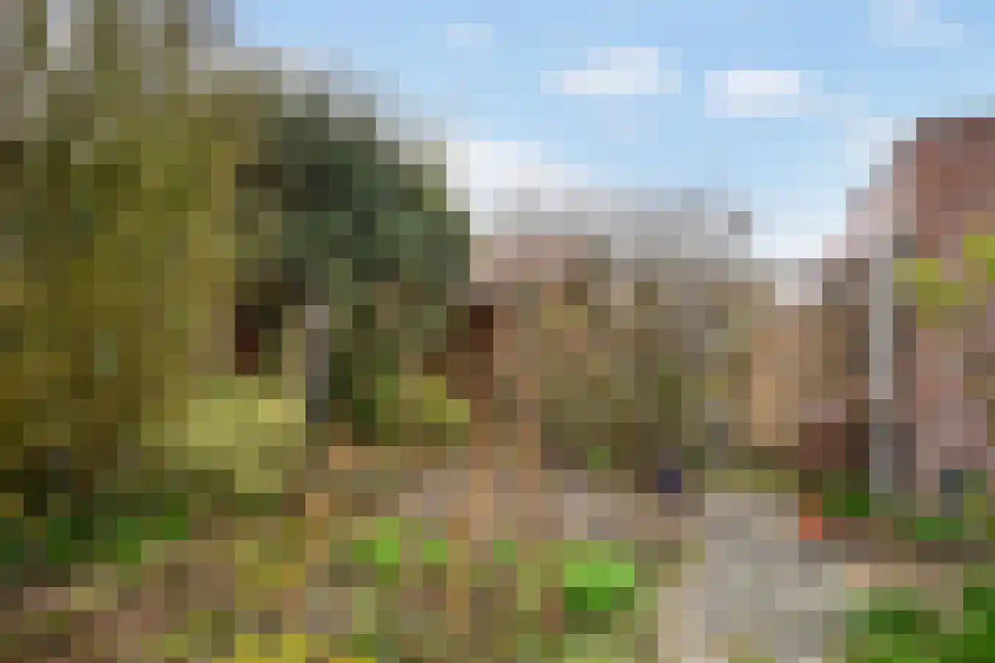 Eugénie Prévinaireweg 24 Nieuw-Vennep thumbnail 34