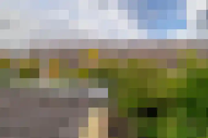 Eugénie Prévinaireweg 47 Nieuw-Vennep thumbnail 23