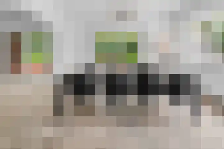 Euklaasdijk 8 Roosendaal thumbnail 10