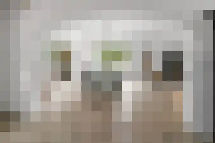 Euklaasdijk 8 Roosendaal thumbnail 11