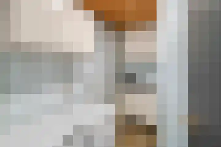 Euklaasdijk 8 Roosendaal thumbnail 18
