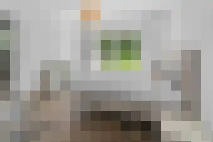 Euklaasdijk 8 Roosendaal thumbnail 20